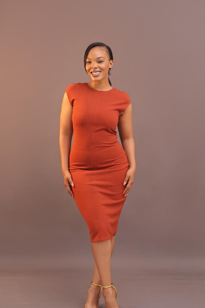 Cap Sleeve Work Dress